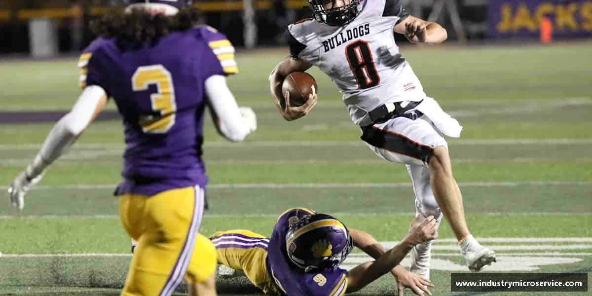 关于熊猫体育中国